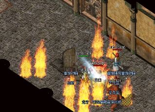 ���Ƿ��л������¿�������վ�ϻ�á�Ӯ��Ϊ
