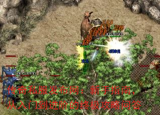 传奇私服发布网:新手指南,从入门到进阶的终极攻略问答 传奇私服发布网:新手指南,从入门到进阶的终极攻略问答