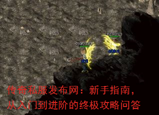 传奇私服发布网:新手指南,从入门到进阶的终极攻略问答 传奇私服发布网:新手指南,从入门到进阶的终极攻略问答