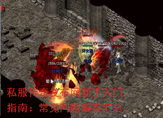私服传奇发布网新手入门指南:常见问题解答汇总 私服传奇发布网新手入门指南:常见问题解答汇总