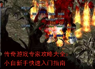 ������Ϸר�ҹ��Դ�ȫ��С�����ֿ�������ָ��