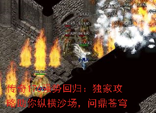 ����176ǿ�ƻع飺���ҹ��������ݺ�ɳ�����ʶ����