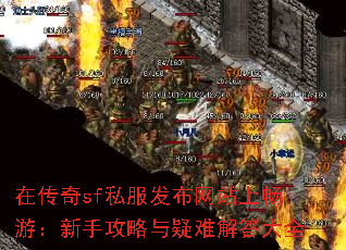 �ڴ���sf˽��������վ�ϳ��Σ����ֹ��������ѽ���ȫ