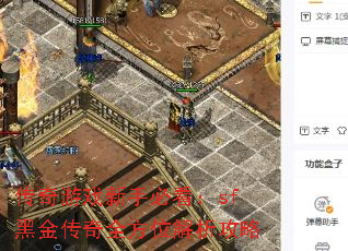 传奇游戏新手必看:sf黑金传奇全方位解析攻略 传奇游戏新手必看:sf黑金传奇全方位解析攻略