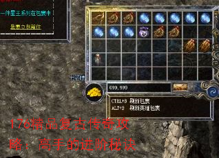 176��Ʒ���Ŵ��湥�ԣ����ֵĽ����ؾ�