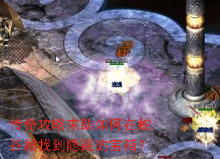 传奇攻略求助如何在蛇谷殿找到隐藏的宝箱? 传奇攻略求助如何在蛇谷殿找到隐藏的宝箱?