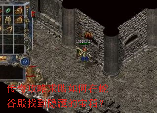 传奇攻略求助如何在蛇谷殿找到隐藏的宝箱? 传奇攻略求助如何在蛇谷殿找到隐藏的宝箱?