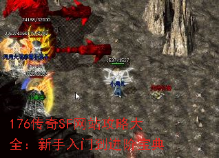 176����SF��վ���Դ�ȫ���������ŵ����ױ���