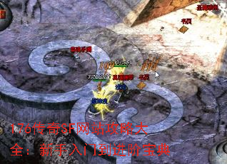 176����SF��վ���Դ�ȫ���������ŵ����ױ���