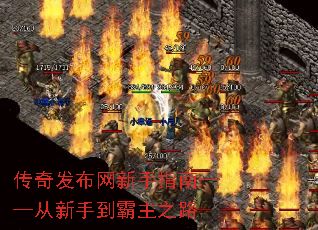 ���淢��������ָ�ϡ��������ֵ�����֮·