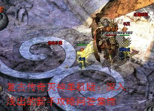 ���Ŵ������񵥻��棺����ǳ�������ֹ����ʴ𼯽�