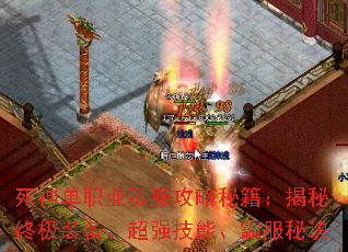 ����ְҵ˽�������ؼ��������ռ�װ������ǿ���ܡ��Է��ؾ�