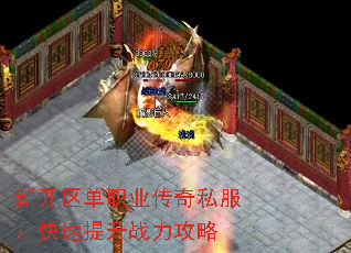�¿�����ְҵ����˽������������ս������