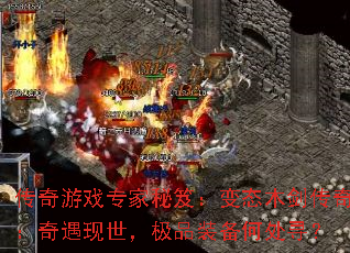 ������Ϸר�����ţ���̬ľ�����棺������������Ʒװ���δ�Ѱ��