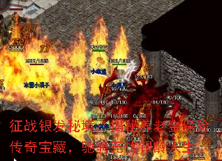 征战银发秘境:揭秘养老金保险传奇宝藏,驰骋无忧银龄人生 征战银发秘境:揭秘养老金保险传奇宝藏,驰骋无忧银龄人生