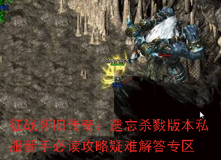 ��ս���ɴ��棺����ɱ¾�汾˽�����ֱض��������ѽ��ר��