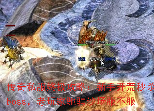����˽���ռ����ԣ����ֿ�����ɱboss������ҳ۳�ɳ��������