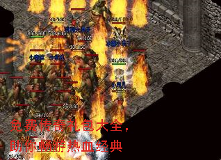 ��Ѵ��������ȫ�����㳩����Ѫ����