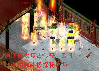 ��ң�������Ŵ��棺����ָ���е��ռ�̽��֮��