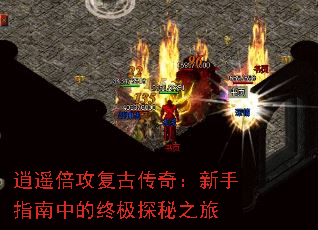 ��ң�������Ŵ��棺����ָ���е��ռ�̽��֮��