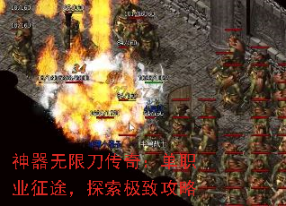 �������޵����棺��ְҵ��;��̽�����¹���