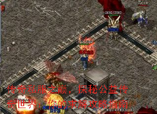 ����˽��֮�ۣ�̽�ع��洫�����磺�����⹥��ָ��
