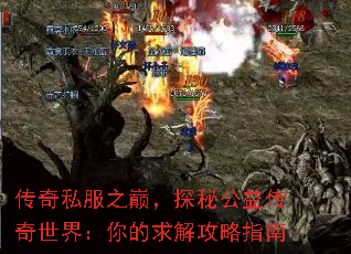 ����˽��֮�ۣ�̽�ع��洫�����磺�����⹥��ָ��