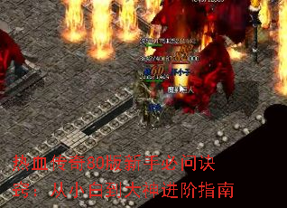��Ѫ����80�����ֱ��ʾ��ϣ���С�׵��������ָ��