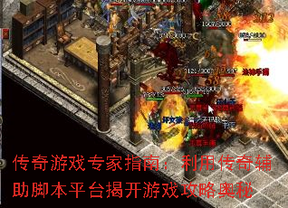 ������Ϸר��ָ�ϣ����ô��渨���ű�ƽ̨�ҿ���Ϸ���԰���
