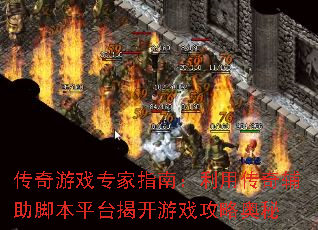 ������Ϸר��ָ�ϣ����ô��渨���ű�ƽ̨�ҿ���Ϸ���԰���