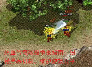 热血传奇私服举报指南:揭秘黑幕机制,维护游戏公平 热血传奇私服举报指南:揭秘黑幕机制,维护游戏公平