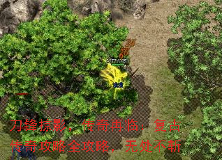 刀锋掠影,传奇再临:复古传奇攻略全攻略,无处不斩 刀锋掠影,传奇再临:复古传奇攻略全攻略,无处不斩