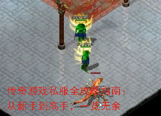 ������Ϸ˽��ȫ����ָ�ϣ������ֵ����֣�һ������