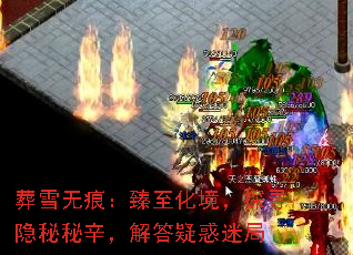 ��ѩ�޺ۣ�����������̽Ѱ��������������ɻ��Ծ�