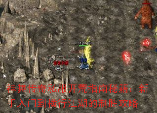 ���贫��˽������ָ���ؼ����������ŵ����н�������ʤ����