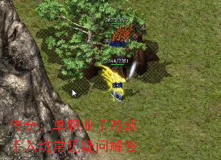 ���棺��ְҵ����������ӳ������ʽ��