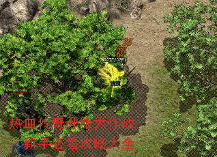 ��Ѫ���濪������ս�����ֱؿ����Դ�ȫ