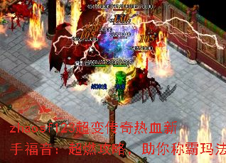 zhaosf123���䴫����Ѫ���ָ�������ȼ���ԣ�����ư��귨