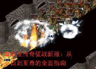 ��ְҵ������ս�·�����С�׵������ȫ��ָ��