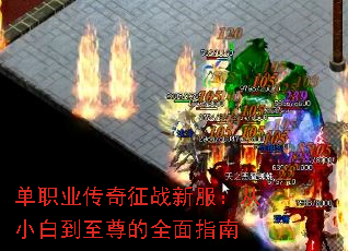 ��ְҵ������ս�·�����С�׵������ȫ��ָ��