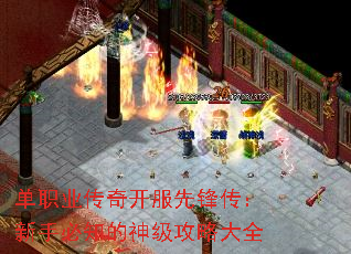 ��ְҵ���濪���ȷ洫�����ֱ�֪���񼶹��Դ�ȫ