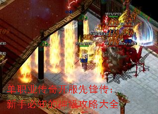 ��ְҵ���濪���ȷ洫�����ֱ�֪���񼶹��Դ�ȫ