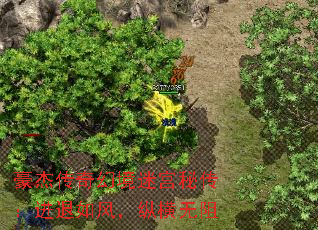 ���ܴ���þ��Թ��ش���������磬�ݺ�����