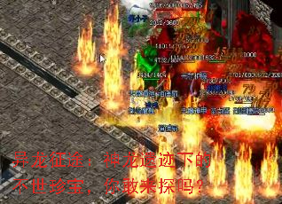 ������;�������ż��µĲ����䱦�������̽��