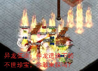 ������;�������ż��µĲ����䱦�������̽��