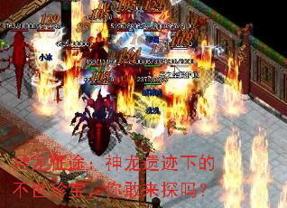 ������;�������ż��µĲ����䱦�������̽��