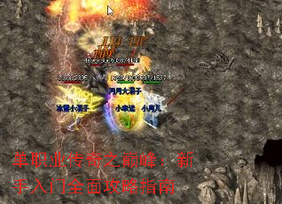 ��ְҵ����֮�۷壺��������ȫ�湥��ָ��