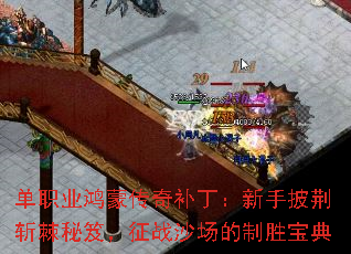 ��ְҵ���ɴ��油������������ն�����ţ���սɳ������ʤ����