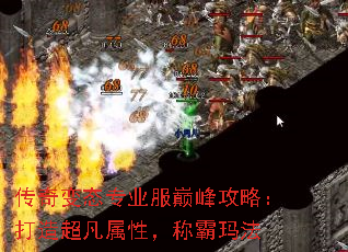�����̬רҵ���۷幥�ԣ����쳬�����ԣ��ư��귨