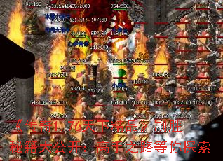 ������1.76���¾�Ʒ����ʤ�ؼ��󹫿�������֮·����̽��